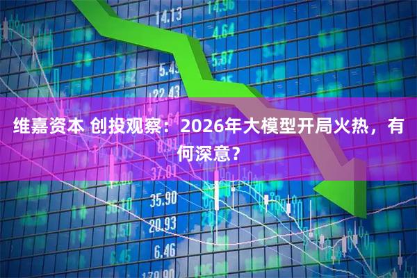 维嘉资本 创投观察：2026年大模型开局火热，有何深意？