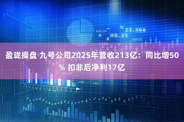 盈珑操盘 九号公司2025年营收213亿：同比增50% 扣非后净利17亿