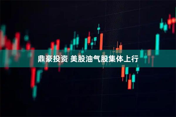 鼎豪投资 美股油气股集体上行