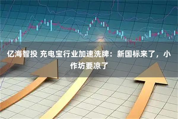 亿海智投 充电宝行业加速洗牌：新国标来了，小作坊要凉了