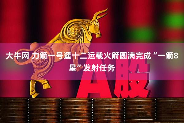 大牛网 力箭一号遥十二运载火箭圆满完成“一箭8星”发射任务