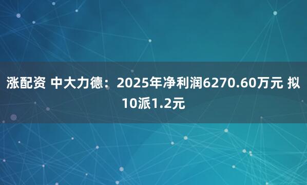 涨配资 中大力德：2025年净利润6270.60万元 拟10派1.2元
