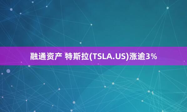 融通资产 特斯拉(TSLA.US)涨逾3%