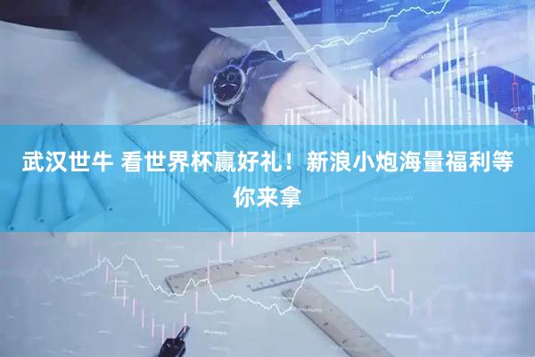 武汉世牛 看世界杯赢好礼！新浪小炮海量福利等你来拿