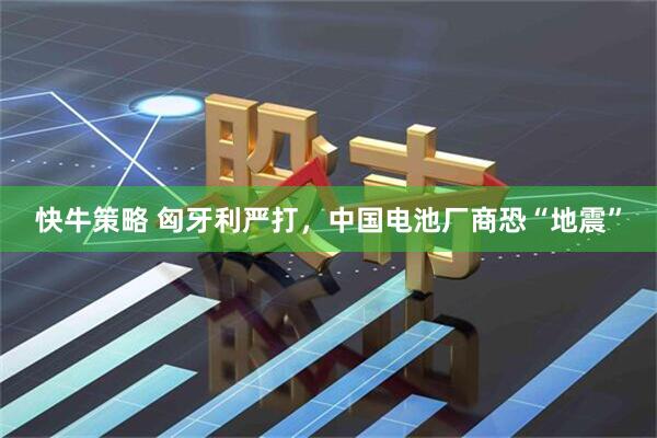 快牛策略 匈牙利严打，中国电池厂商恐“地震”